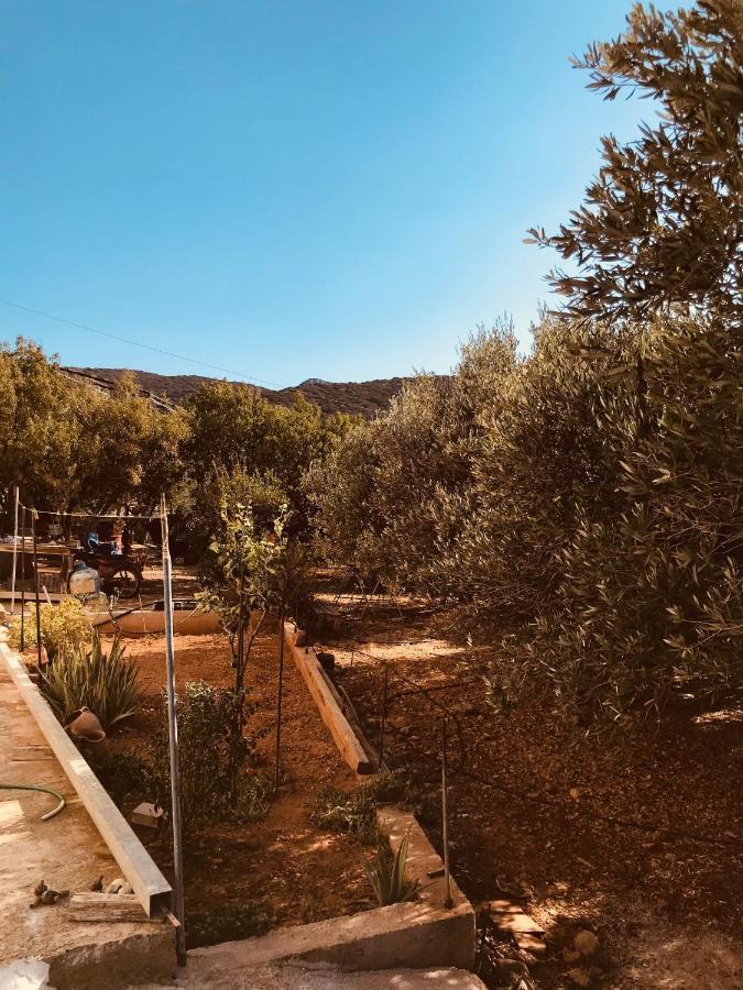 Country House Pachia Ammos المظهر الخارجي الصورة